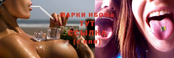 спиды Ельня