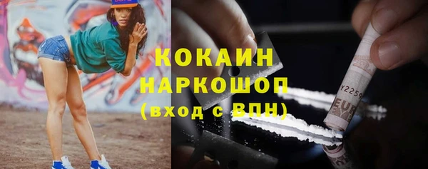 спиды Ельня