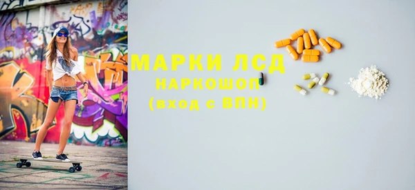спиды Ельня