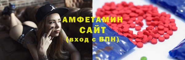 спиды Ельня