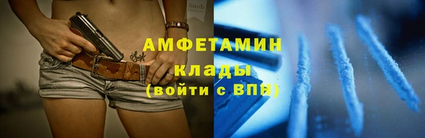 спиды Ельня