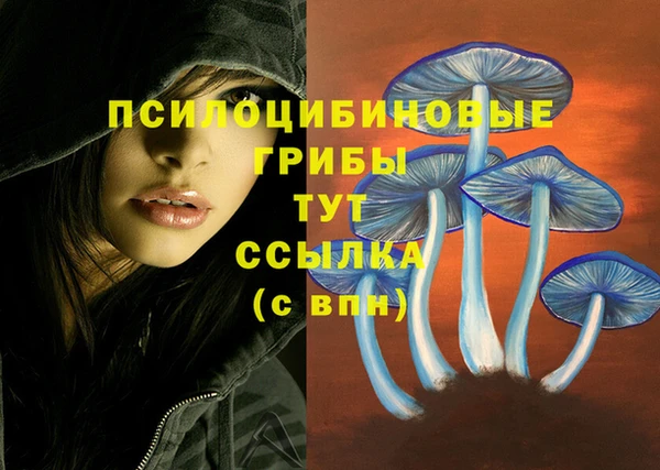 бошки Елизово