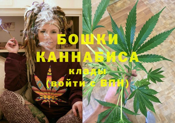 спиды Ельня