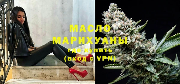 индика Заводоуковск
