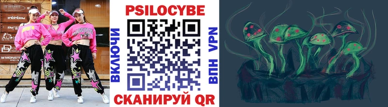 Купить где  Черняховск  Псилоцибиновые грибы GOLDEN TEACHER 