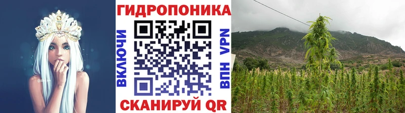 Купить закладки  Черняховск  Конопля план 